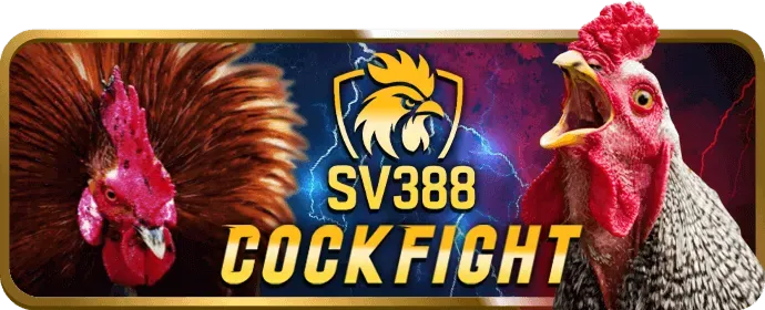 Hướng dẫn chi tiết cách chơi game bắn cá đổi thưởng online cho người mới bắt đầu